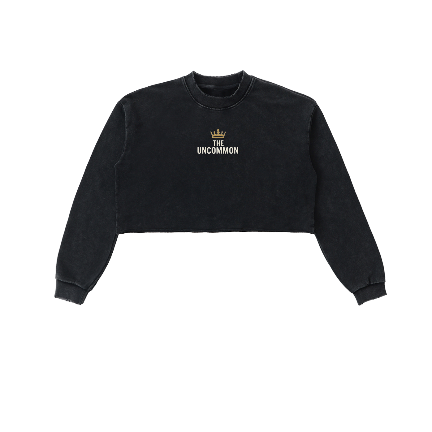 Uncommon OG Snow Washed Raw Edge Cropped Sweatshirt